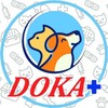 Логотип телеграм канала @doka_plus — ЦВМ 𝐷𝑂𝐾𝐴