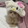 Логотип телеграм канала @doktorovaaaa — doktorovaaa