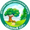 Логотип телеграм канала @dokzb — ДОЛ «Зелёный бор»