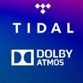Telegram kanalining logotibi dolbyatmosmusic — Dolby Atmos Music (Tidal/Amazon)