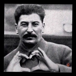 Логотип телеграм канала @dolgova1 — Д О Л Г О В Щ И Н А
