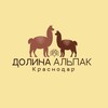 Логотип телеграм канала @dolinaalpak — «ДОЛИНА-АЛЬПАК»🦙
