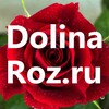 Логотип телеграм канала @dolinaroz_23 — DolinaRoz.ru