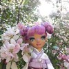 Логотип телеграм канала @dollsandcaroline — 🌸Куклы и Каролина🌸