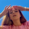 Логотип телеграм канала @dolphinnumber1 — кипяточек и платочек