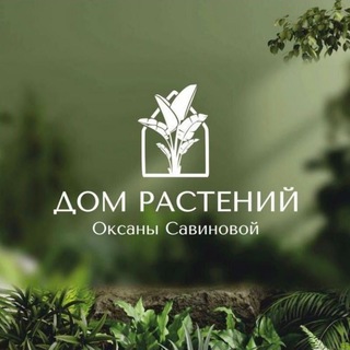 Логотип телеграм канала @dom_rasteniy — Дом растений Оксаны Савиновой 🪴