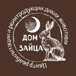 Логотип телеграм канала @dom_zaytsa — Дом Зайца