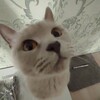 Логотип телеграм канала @dom24_7 — Дом общения 24/7