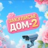 Логотип телеграм канала @dom2_only — Дом-2 Онлайн"Свежие Эфиры"
