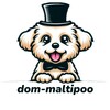 Логотип телеграм канала @dom_maltipoo — 🏠ДОМ МАЛЬТИПУ🧸