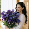 Логотип телеграм канала @dom_mrsiris — Дом Миссис Ирис