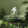 Логотип телеграм канала @dom_rasteniy — Дом растений Оксаны Савиновой 🪴