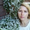 Логотип телеграм канала @dom_zvetochnici — Домик цветочницы