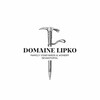 Логотип телеграм канала @domainelipko — Domaine Lipko