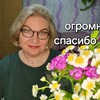 Telegram channel Домашняя Незабудка logo