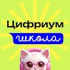 Логотип телеграм канала @domashnyaya_shkola_cifrium — Я в ДШ Цифриум