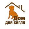 Логотип телеграм канала @domdlyabiglya — ДОМ ДЛЯ БИГЛЯ