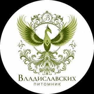 Логотип телеграм канала @domenika_elki — 🌳🌲⚘питомник ВЛАДИСЛАВСКИХ⚘🌲🌳