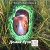 Логотип телеграм канала @domik_kuzia — 🫧Дᴏʍиᴋ Куɜи🌾