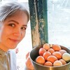 Логотип телеграм канала @domik_u_polya — Домик у поля | Женины будни