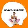 Логотип телеграм канала @domikmelkasheyprivet — Домик Мелкашей привет из дома