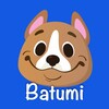 Логотип телеграм канала @domikobatumi — Недвижимость в Батуми от domiko