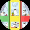 Логотип телеграм канала @domikvlg — Кошачий приют Домик