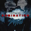 Logo of telegram channel dominationnb — DOMINATION.