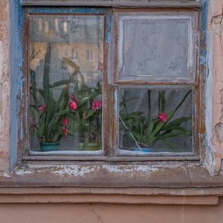 Logo of telegram channel domkzn — Дом и соседи