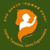 Логотип телеграм канала @domloshadki — Дом лошадки «Рыжий конь»