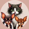 Логотип телеграм канала @domlubimci — Домашние Любимцы 🐾