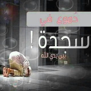 لوگوی کانال تلگرام domo3_fisagda — دموع في سجدةّ