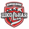 Логотип телеграм канала @domodedovoeshl — Домодедовская Единая школьная лига