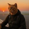 Логотип телеграм канала @domovenkov_svr — Домовенков