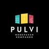 Telegram channel PULVI logo