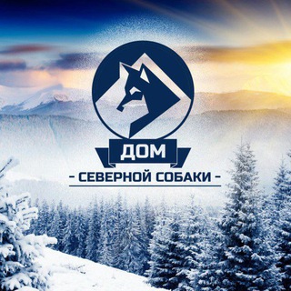 Логотип телеграм канала @domsevernoysobaki — Дом Северной Собаки