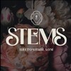 Логотип телеграм канала @domstems — СТЕМС Цветочный дом