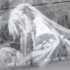 Логотип телеграм канала @domuk_comfort — ❄️ყю̷̷ⲧห‌۫‌ыꭎ́ ᧁꭷო❄️