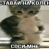 Логотип телеграм канала @domunury — совет федерации