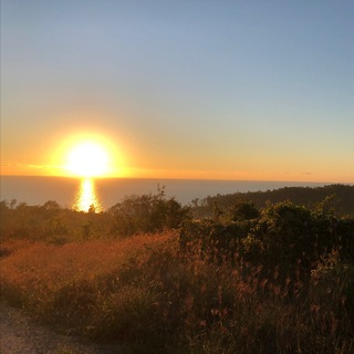 Логотип телеграм канала @domvardane — Дом в Вардане