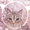 Логотип телеграм канала @donatesso — Shimmy Shimmy Ya|SSO donate|Донат ССО