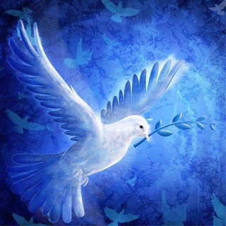Telegram channel ДЗЕРЖИНСК ДНР🕊️ logo