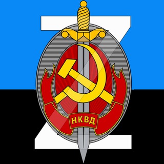 Логотип телеграм канала @donbassmili — Донецкий Комиссар «Z»