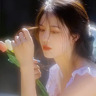 电报频道的标志 donghuacg — 国漫女神|游戏CG