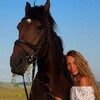 Логотип телеграм канала @donskiestables — ДОНСКИЕ КОНЮШНИ 🫶