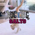 Logo saluran telegram doodstream_tele — KUCING SALTO X DEWACASH