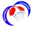 Logo de la chaîne télégraphique doomglass - چینی و آرکوپال رادمان09376084042