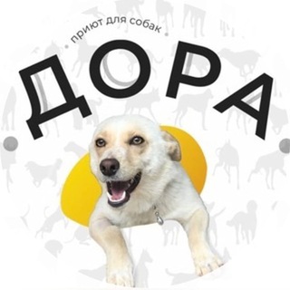 Логотип телеграм канала @doravrn — ВГОО «Общество защиты домашних животных «Дора»