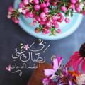 لوگوی کانال تلگرام dorosse — قطوف في العلوم الشرعية