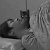 Логотип телеграм канала @doroytr — членорог🦄